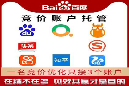 竞价托管服务中的挑战与机遇