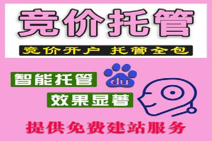 百度SEM优化成功案例：关键词优化策略解析